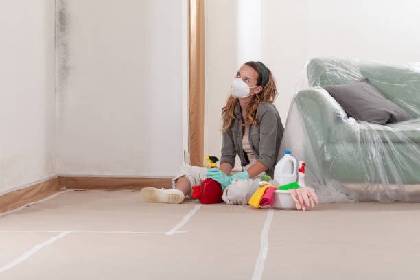 Reliable Bathroom Mold Removal contractor in Oakdale, MN by WQB Mold Removal